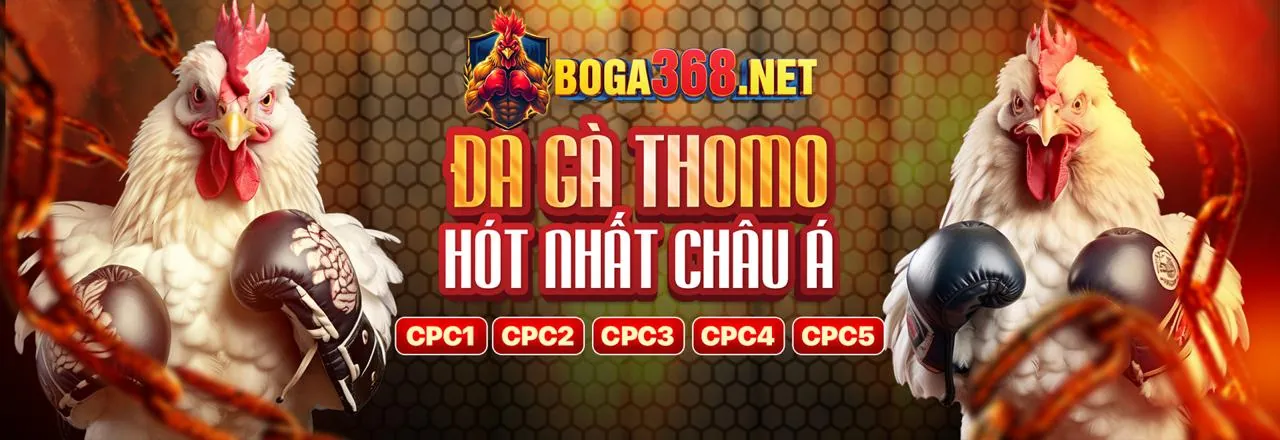 Người chơi vui vẻ với 3in1bet